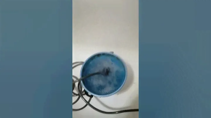 VID 20220819 220701