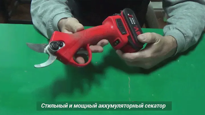 Аккумуляторный секатор 1 2 sale