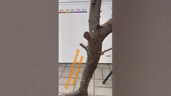 Аккумуляторный секатор Edon